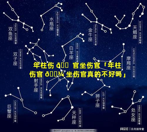 年柱伤 🐠 官坐伤官「年柱伤官 🌾 坐伤官真的不好吗」